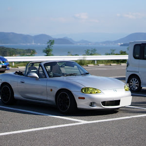 ロードスター NB6C