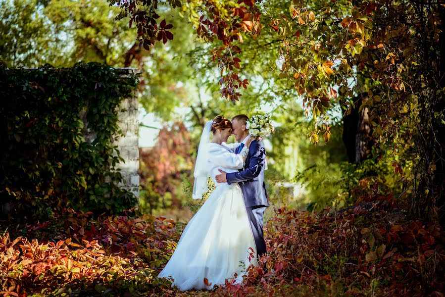 Wedding photographer Igor Konovalchuk (igork0). Photo of 29 October 2019