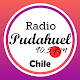 Radio Pudahuel 90.5 FM de Chile Free Download on Windows