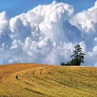 Fuori dalla finestra di 