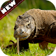 Komodo dragon wallpaper Install on Windows