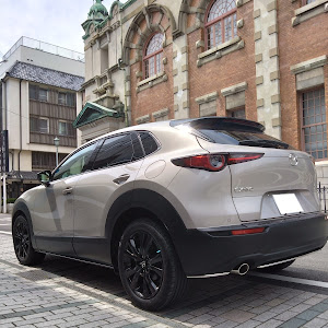 CX-30