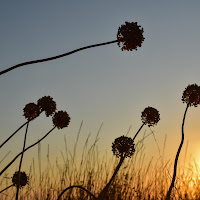 verso la luce.... di 