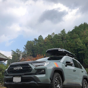 RAV4 MXAA54