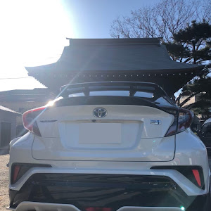 C-HR ZYX10