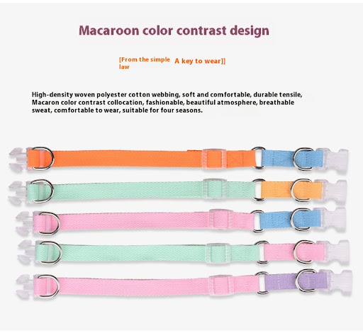 Title 3, Polyester Ribbon Dog Collar with Hand Holding R...