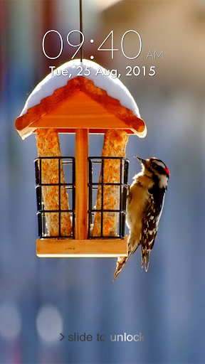 Cute Bird Photo Lock Screen