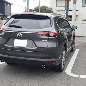 CX-8