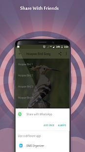 Hoopoe Bird Song(圖5)-速報App