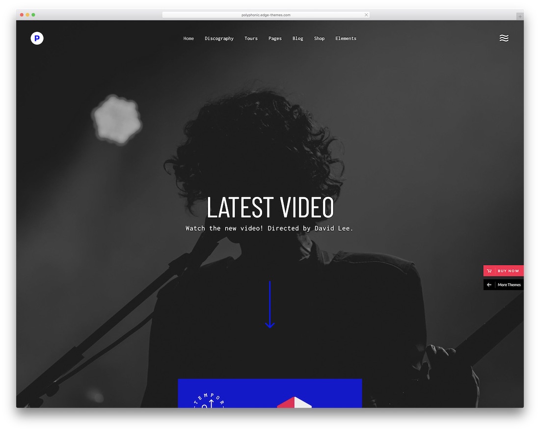 tema de wordpress polifónico para artistas