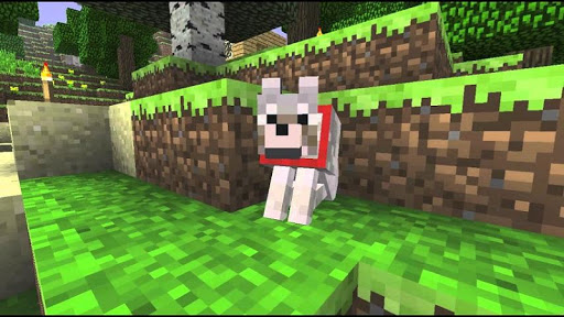 Doggy Ideas Minecraft