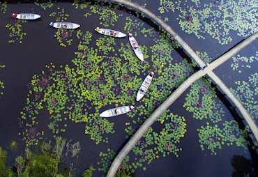 Tour Long An - Làng Nổi Tân Lập 1 Ngày