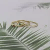 miniatures image - 2