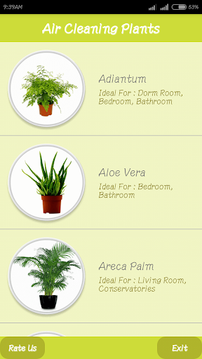 Air Cleaning Plants