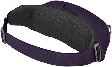 Osprey MY21 Daylite Waist Pack alternate image 1