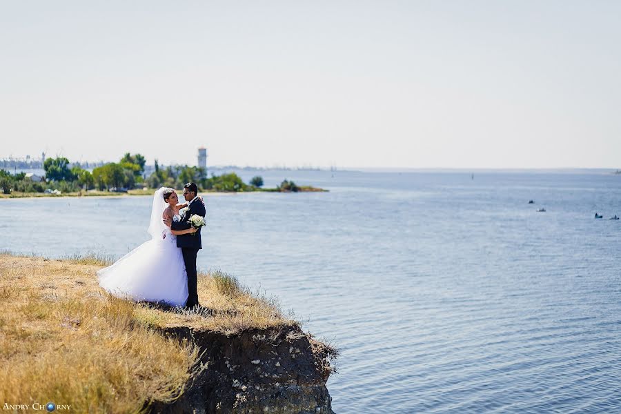 Fotograf ślubny Andrey Chornyy (andychorny). Zdjęcie z 27 sierpnia 2014