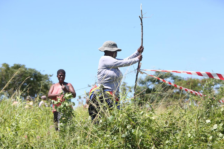 Happy Zwane was among hundreds of residents who invaded land in Cato Crest informal settlement on Tuesday.