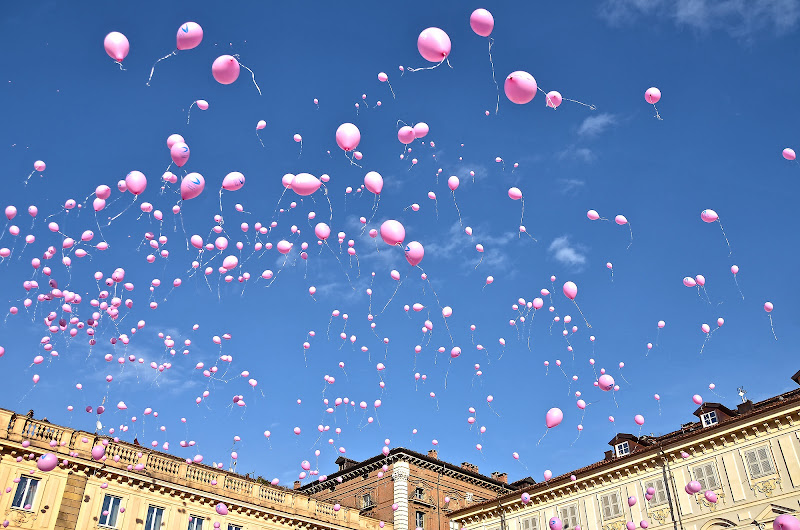 La vie en rose di Migliu