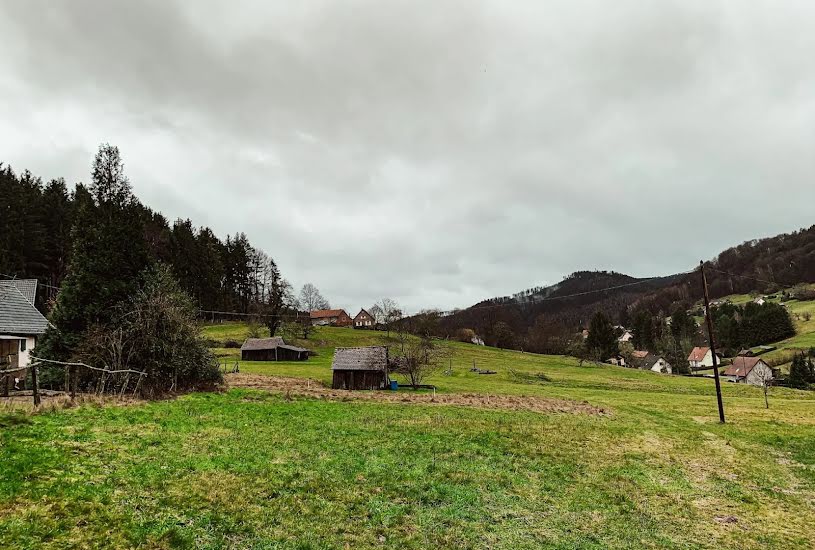  Vente Terrain à bâtir - à Windstein (67110) 