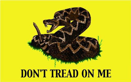 Gadsden flag screenshot 1
