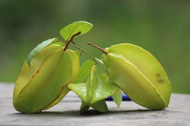 sonhar com carambola