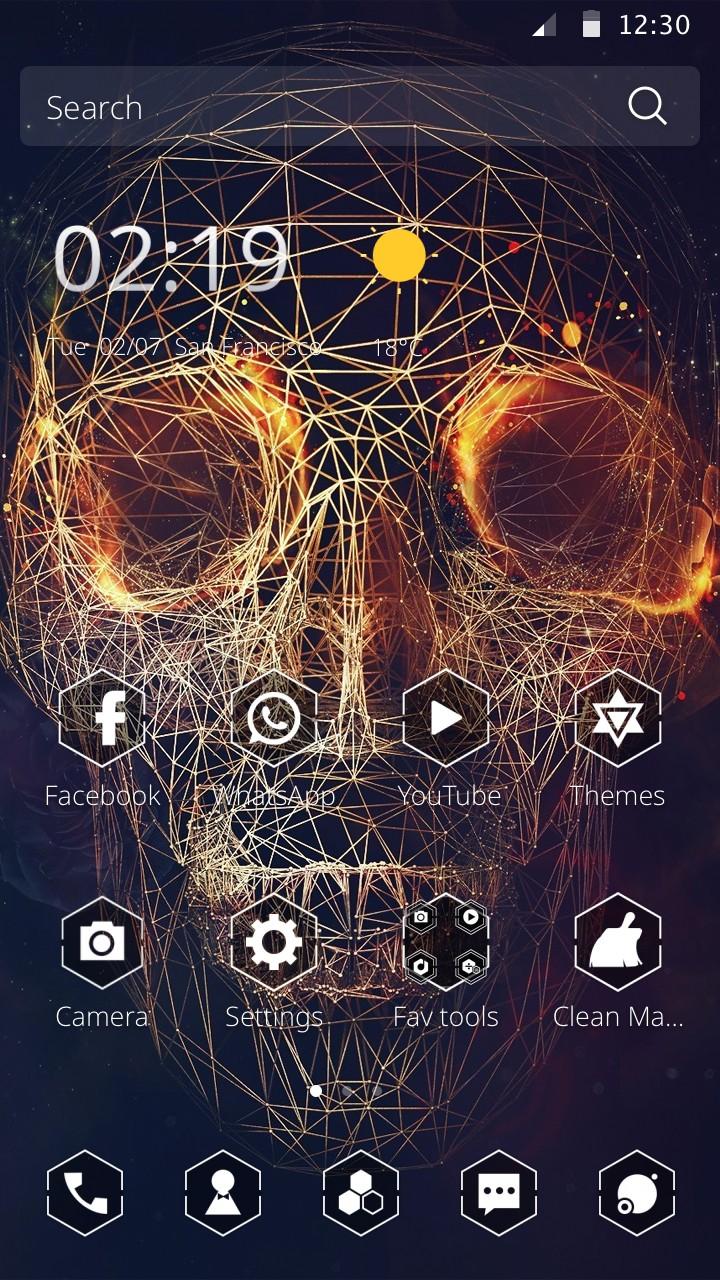Skull Fire Screen 2
