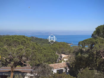 terrain à batir à Saint-Tropez (83)