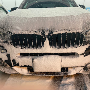 X5 xDrive 35d