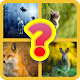 Download Trivia Creature For PC Windows and Mac