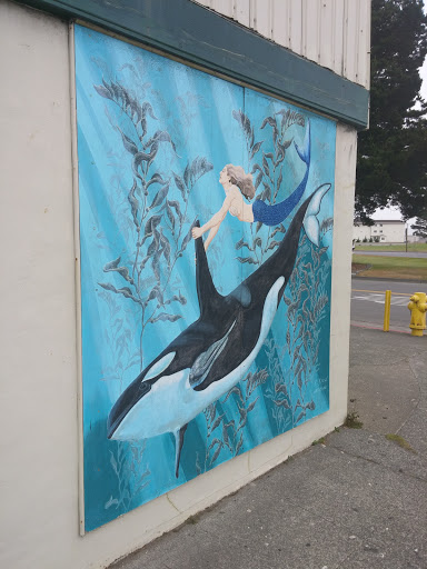 Killer Whale Mural