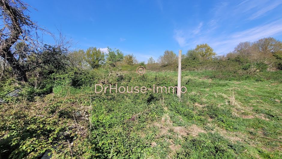 Vente terrain  4853 m² à Ferce (44660), 190 000 €