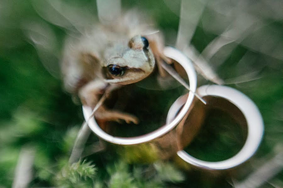 Fotógrafo de casamento Olga Shiyanova (oliachernika). Foto de 20 de agosto 2018