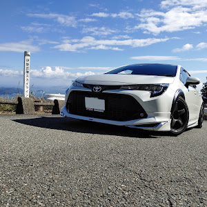 カローラスポーツ