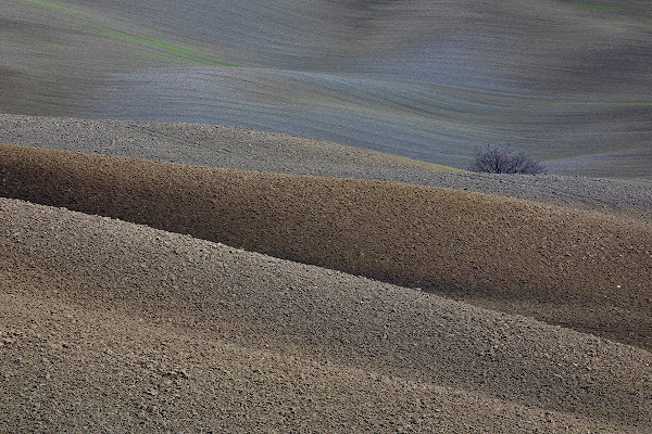 ….dietro le dune…. di stefanogaleotti