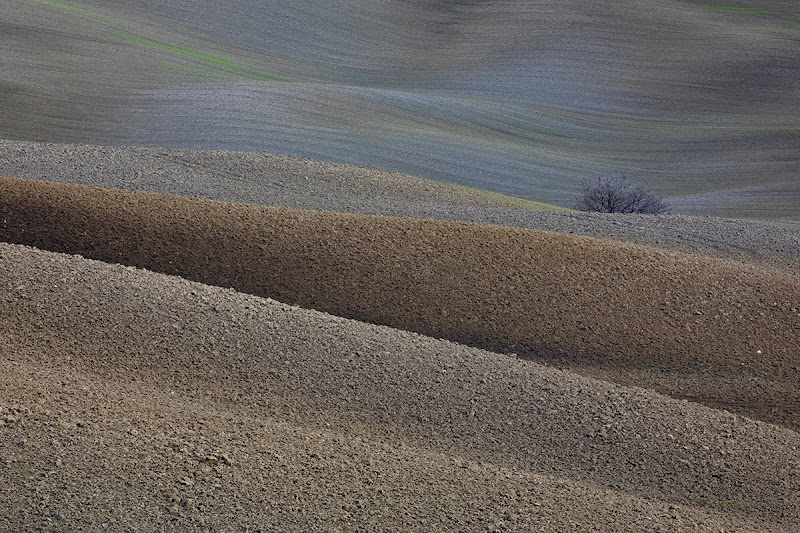 ….dietro le dune…. di stefanogaleotti