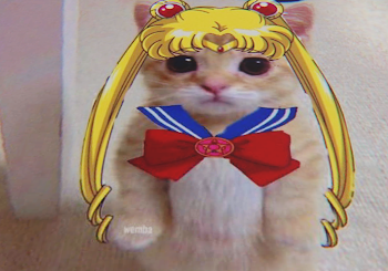 はつとうこう     自己紹介