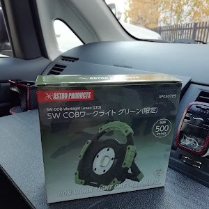アイシス ZGM15W