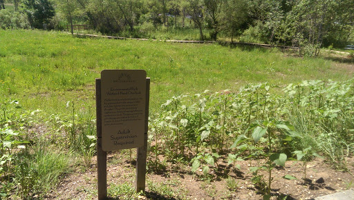 Environmental Park Wetland Pond Overlook 