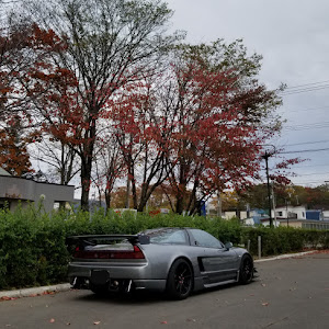 NSX NA1