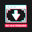 TT Downloader - No Watermark
