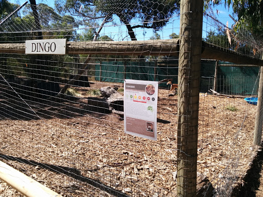 Moonlit Conservative Park Dingo Enclosure 