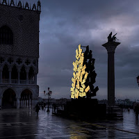 L'albero della discordia! di 