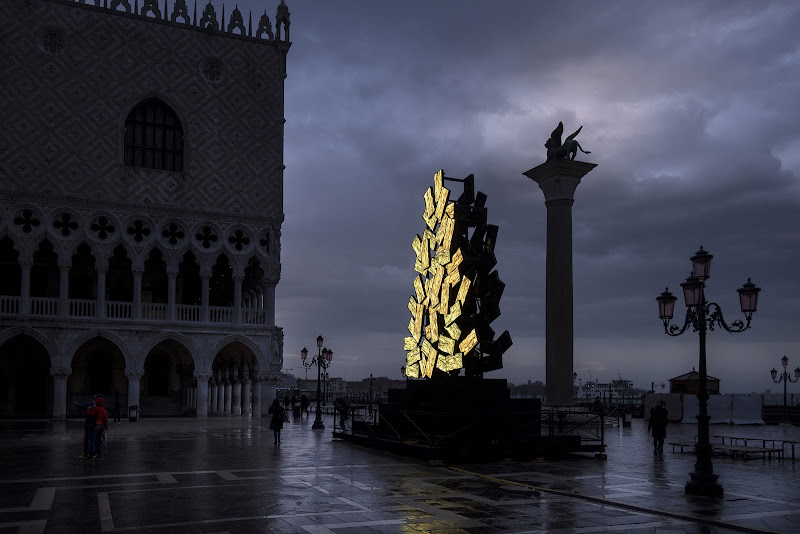 L'albero della discordia! di Giovi18