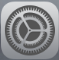 iPad settings icon