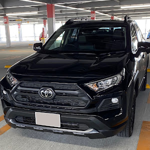 RAV4 MXAA54