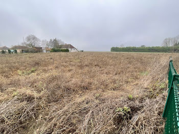 terrain à Villemereuil (10)