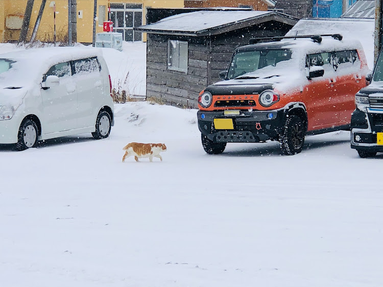 の投稿画像2枚目