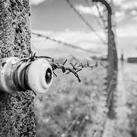 I confini di Birkenau di 