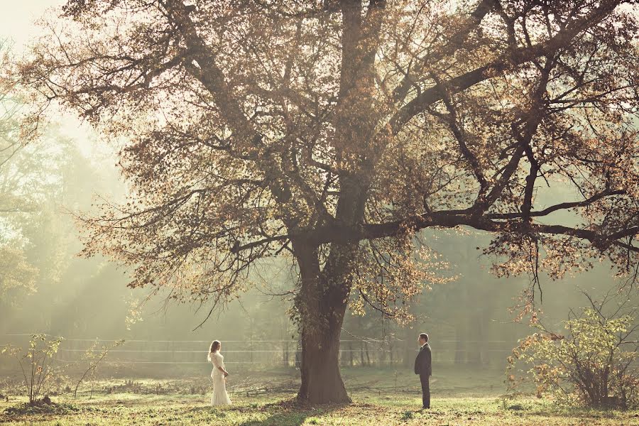 Wedding photographer Elena Andreychuk (pani-helen). Photo of 2 December 2013