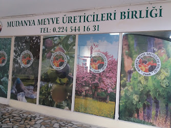 Mudanya Meyve Üreticileri Birliği